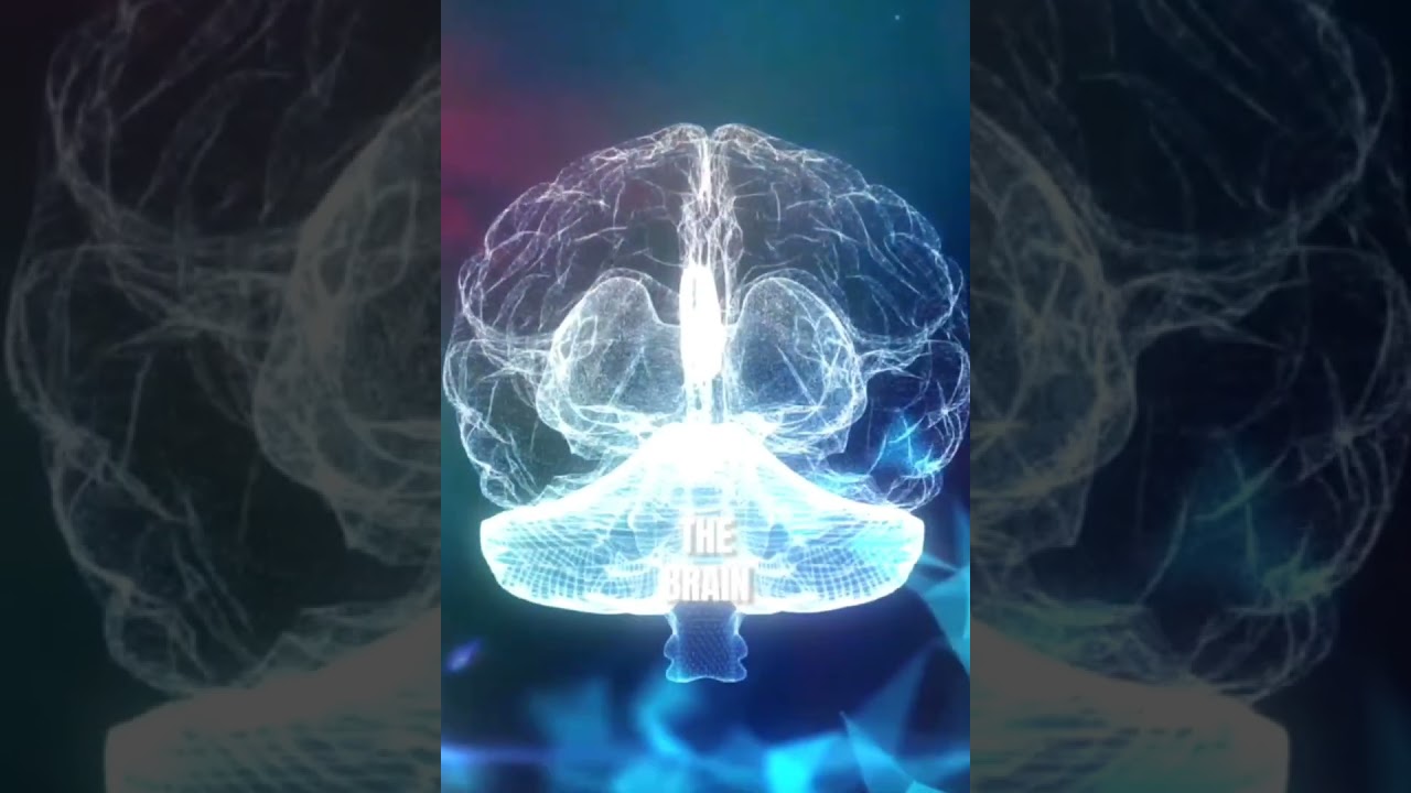 Confidence Is Mostly Fake 