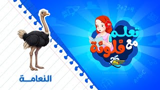 سبيستون | تعلم مع فلونة | النعامة 🦩