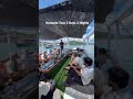 Komodo Tour 3 Days 2 Nights | Price start from 235 USD