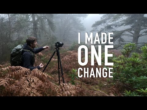 I Changed One Thing in the Field (Landscape Photography)