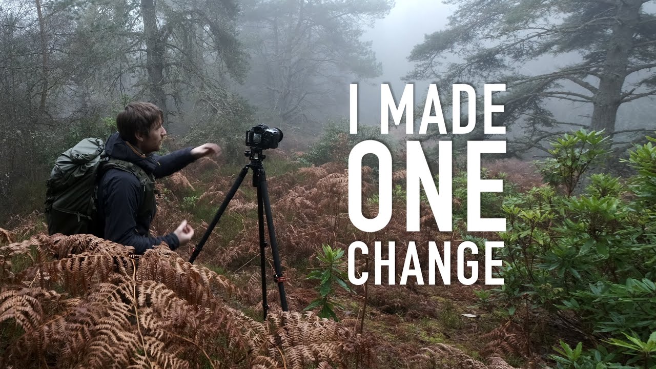 I Changed One Thing in the Field (Landscape Photography)