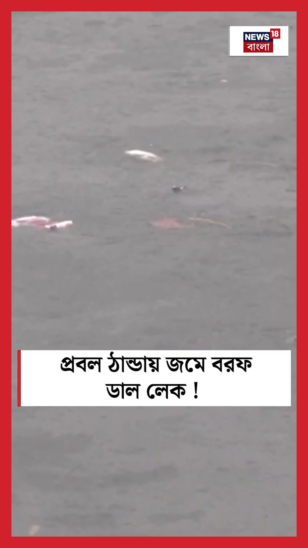 প্রবল ঠান্ডায় জমে বরফ Dal Lake ! | N18S #shorts
