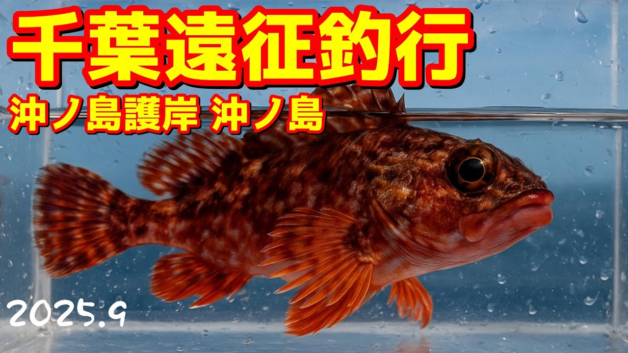 ♯96【ショア】千葉遠征釣行～沖ノ島護岸→沖ノ島へ～