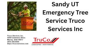 Sandy UT Emergency Tree Service Truco Services Inc