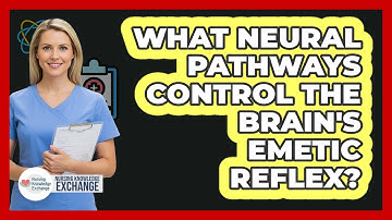 What Neural Pathways Control The Brain