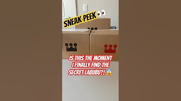 Sneak Peek: Did Pop Mart Sent Me The PIN FOR LOVE Labubu? #labubu