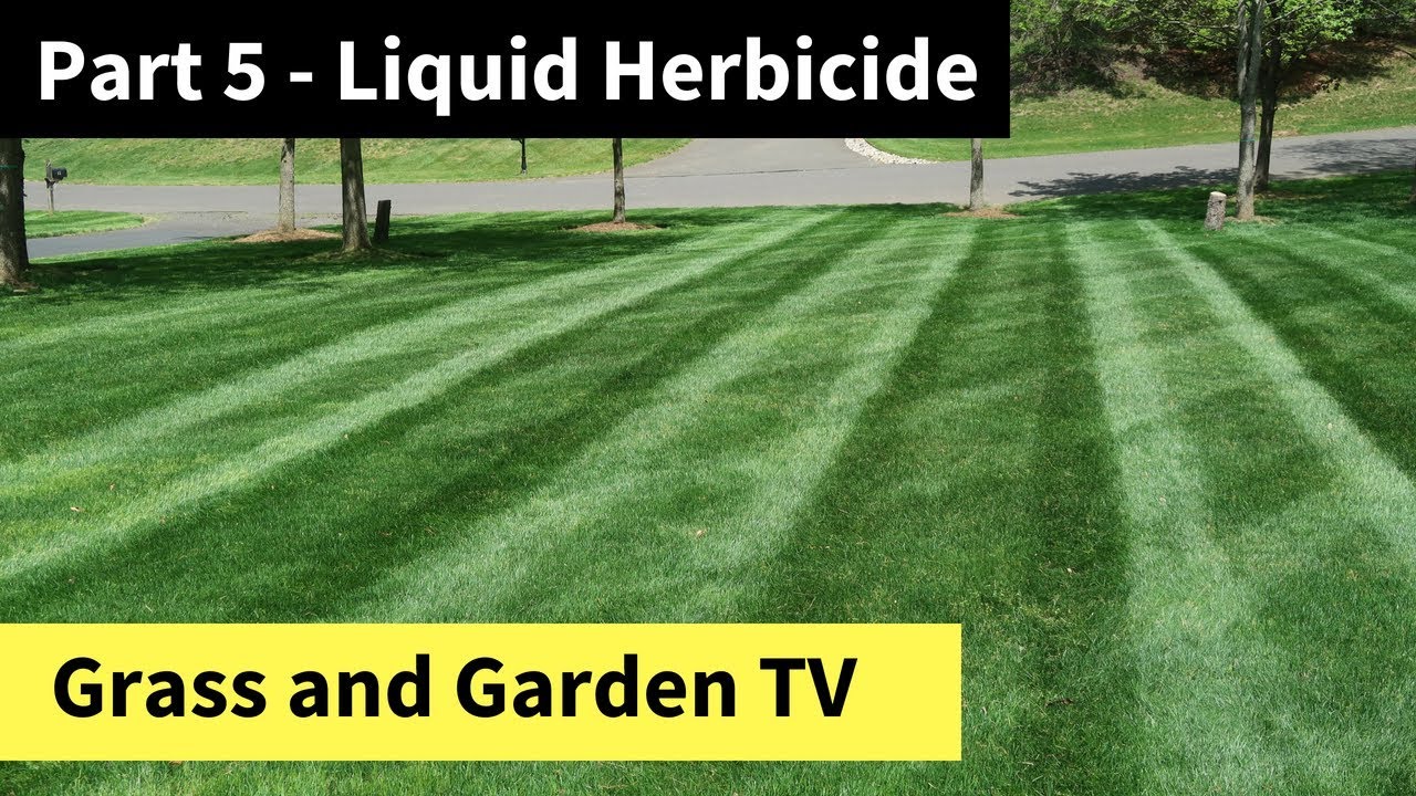 How to Improve Your Lawn by Memorial Day - Part 5 - Liquid ...