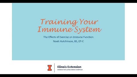 Training Your Immune System  Outlining the Effects of Exercise on Immune Function