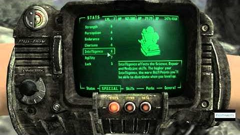 Pipboy