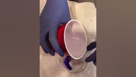 Bacteria morphology and staining techniques Exercise 1