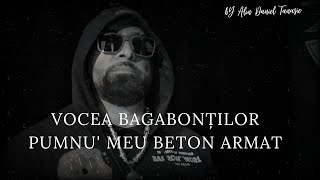 VOCEA BAGABONȚILOR - PUMNU' MEU BETON ARMAT 💥 OFICIAL VIDEO