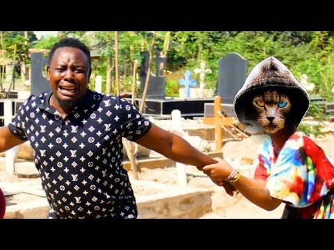 Video: Taji Ya-machungwa-machungwa (picha 45): Maelezo Ya Kawaida-ya-machungwa, 