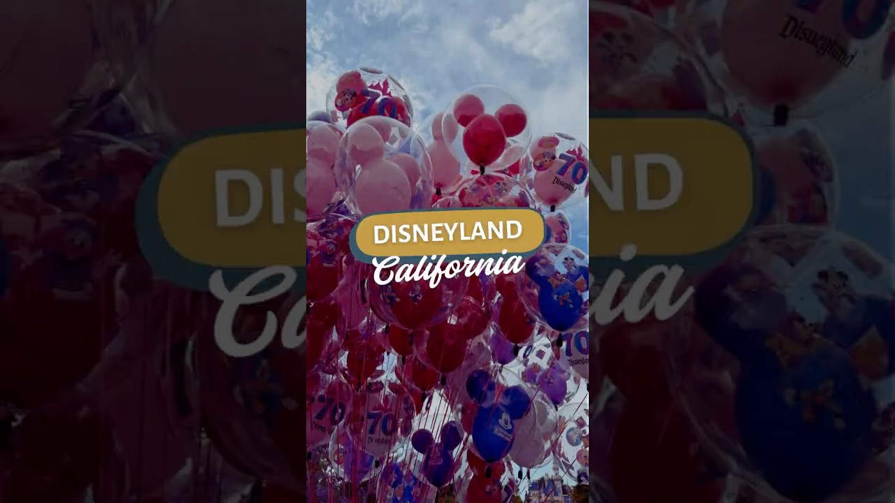 Disneyland Is WAY More Convenient Than People Realize