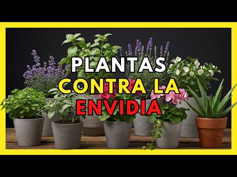 10 plantas para