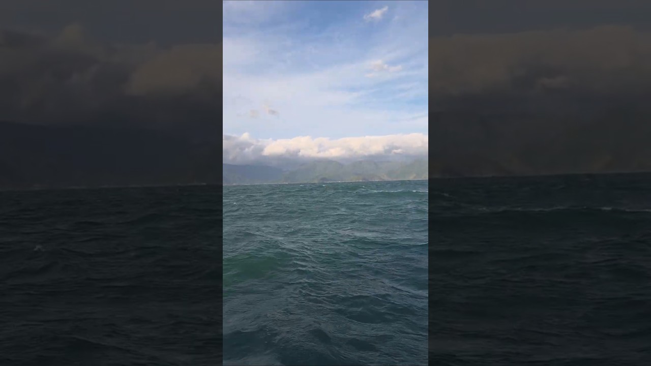 ⁣AVISTEI UMA BALEIA!!! SEUS OLHOS ESTÃO BONS?