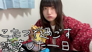 こたつの中から出たくない…ネオ無職一般女性の堕落した一日【冬の過ごし方】