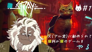 【Stray】猫科が猫になって廃墟探検する 【ケモノVtuber】