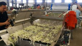 Leafy vegetable processing  line20180913