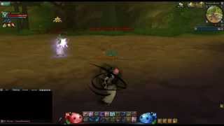 WoE Invulnerability vs Debuffs Bug