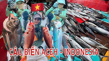NỮ CẦN THỦ LẦN ĐẦU TRẢI NGHIỆM CÂU BIỂN ACEH - INDO SẼ NHƯ THẾ NÀO? | KÌ KÌ CÂU CÁ