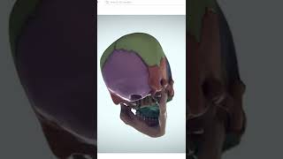 I quit art for a year now I'm back #animation #artist #drawing #art #beginnerartist