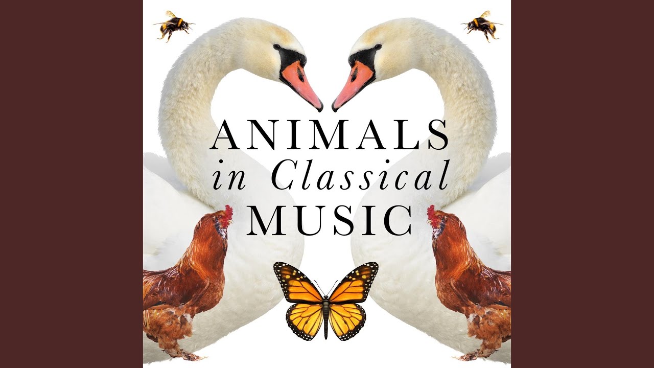 Watch Piano Quintet in A Major, D. 667 "Trout Quintet": IV. Andantino - Allegretto on YouTube