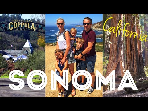 Exploring Sonoma County in California: wine tasting (with kids), Redwoods, Whale Watching and MORE!!