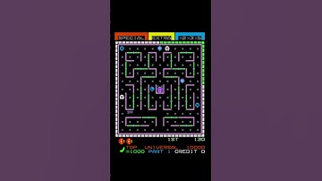 Lady Bug 1980s Universal old retro game