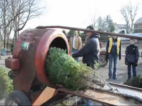 bucks-county-pa-doylestown-christmas-tree-farm