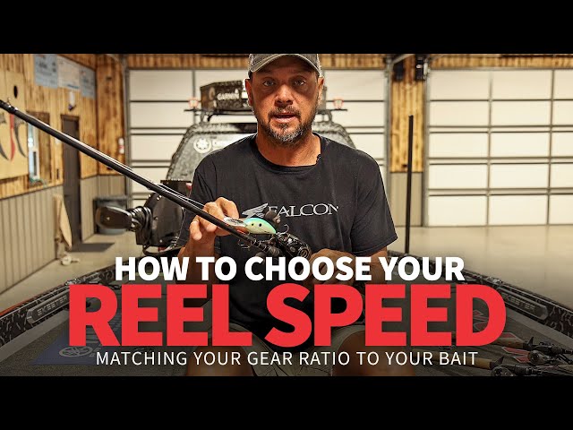 Matching your GEAR RATIO to the BAIT (How to Choose Baitcaster