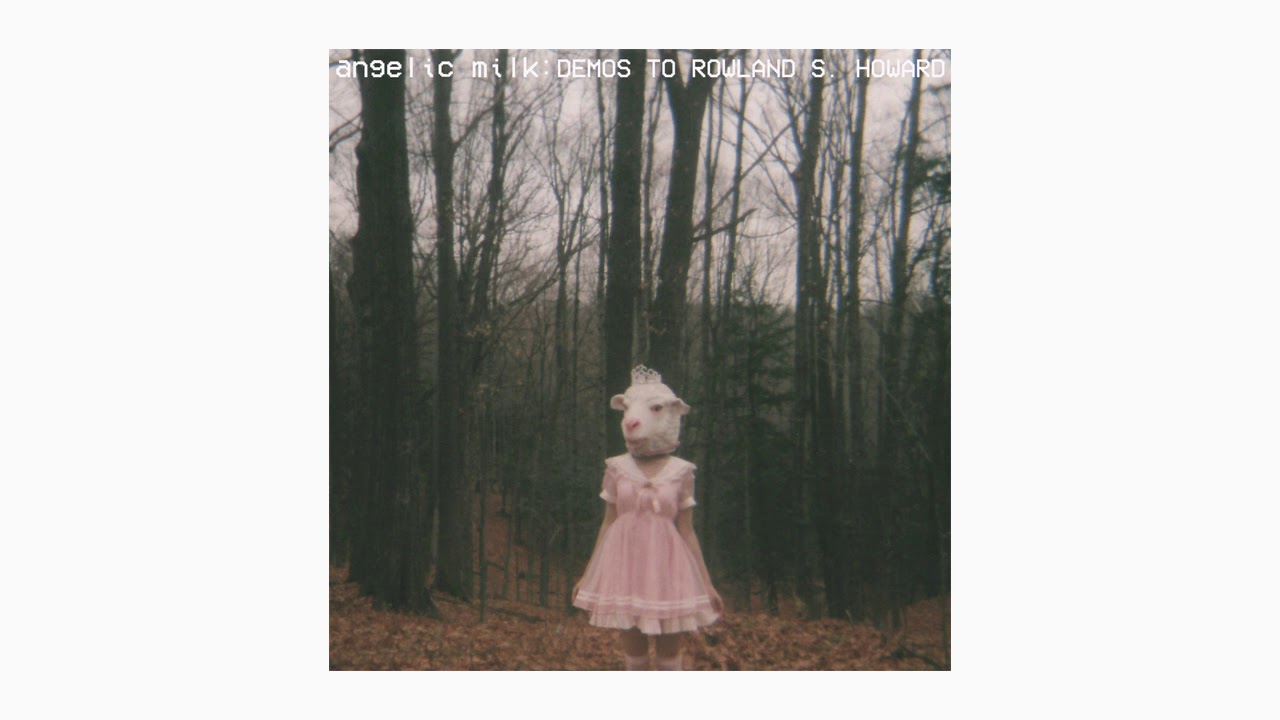 camera iphone 8 plus apk Angelic Milk - Dead Radio