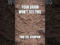 Your Brain Won’t See This Scorpion | 95% FAIL
