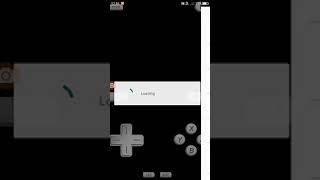 Every Copy Sonic Is Personalized Ds Version Practice Video