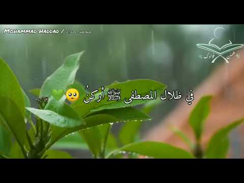 ستوري ليتها أعتابكم منزلي