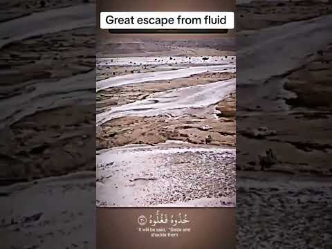 ياليتها كانت القاضية ما اغنى عني مالية اكتب شيئ تؤجر عليه يوم القيامة سوريا السعودية Art Shorts