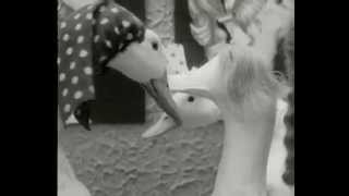 Cera Glocò Johnson - La Famiglia Dei Piumati Mode