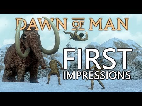 Dawn of Man