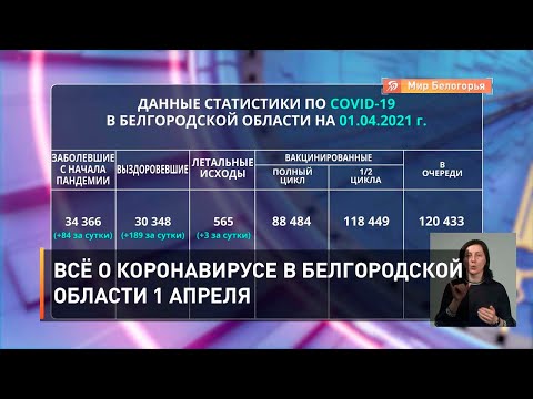 Всё о коронавирусе в Белгородской области 1 апреля