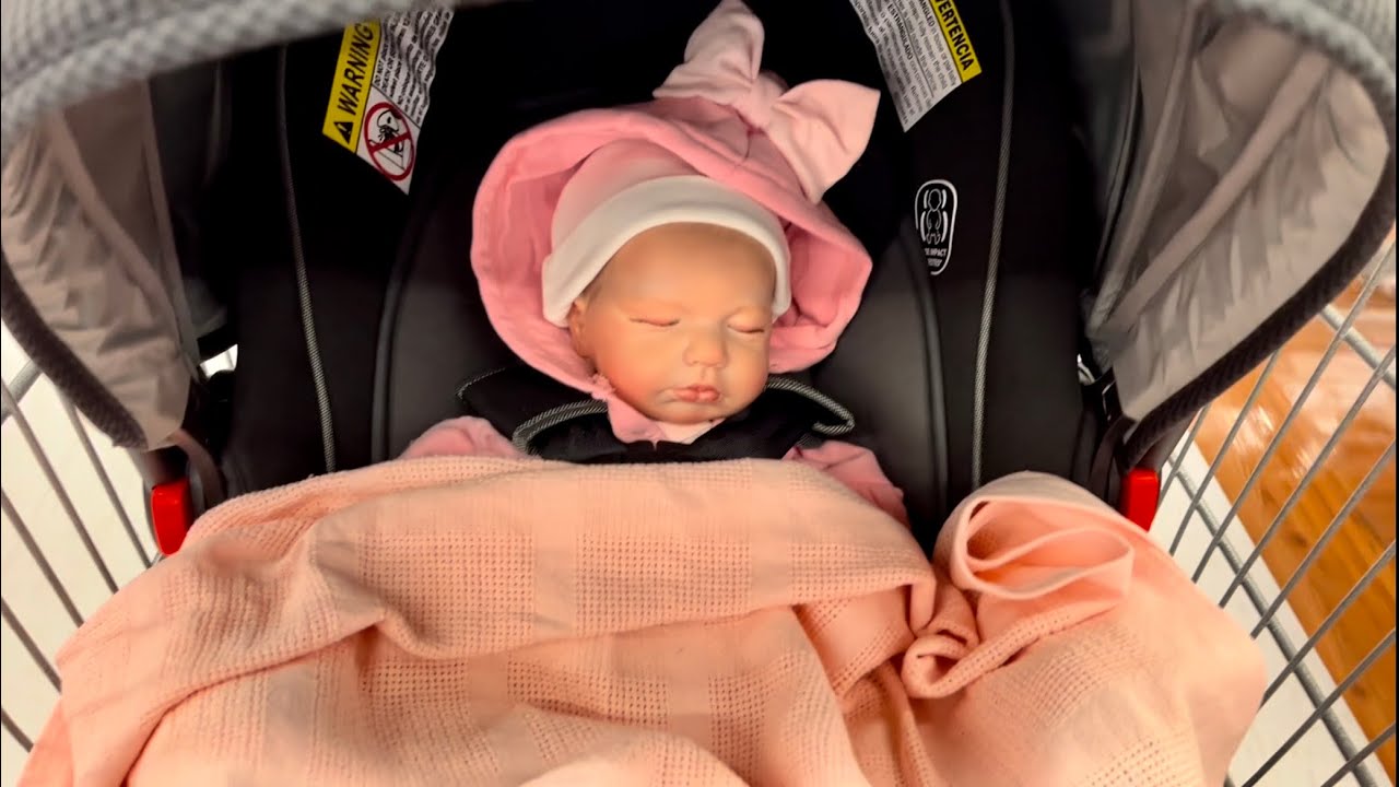 Reborn Baby Outing To Walmart Plus Haul!