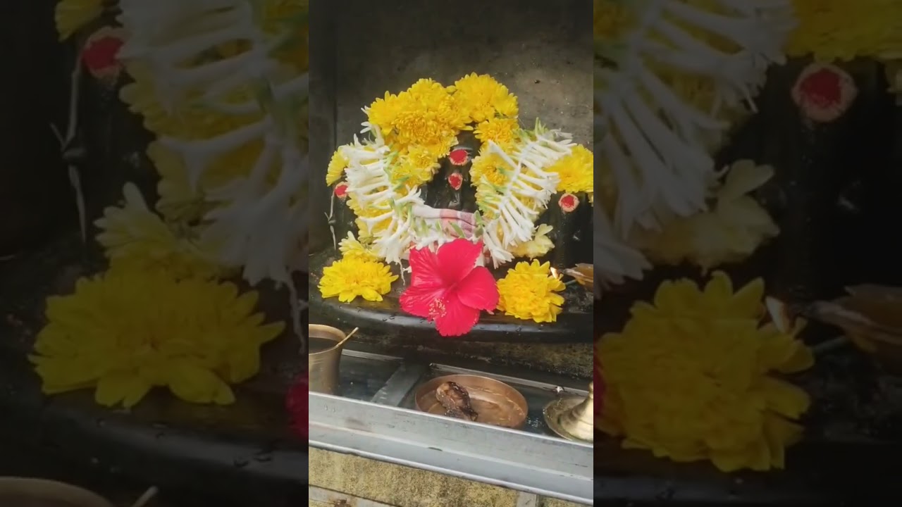 விநாயகா போற்றி