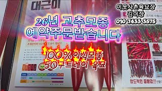 26년 고추모종 예약주문 받습니다 매년 감사합니다 #고추모종 #고추모종주문 #고추모종파는곳 #고추예약 #고추품종추천 #고추품종비교 #육묘장