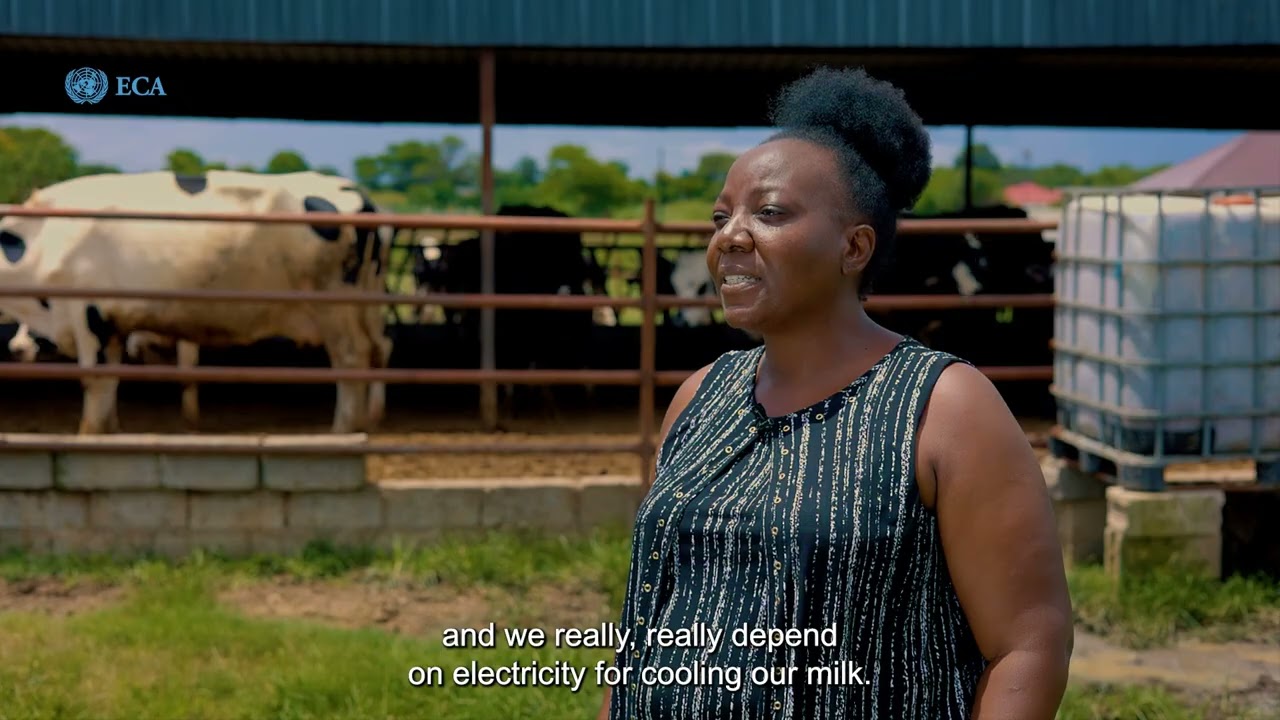 Dairy Farming in Zambia  Zewelanji Sinkala Mbao, dairy farmer