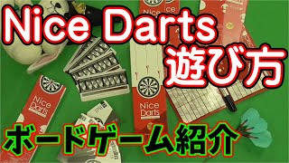 【ボドゲ紹介】Nice Dartsで遊んでみた【食事中推奨】