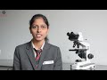 B.Pharmacy Success: Snehal Sherekar Joins Mylan Pharmaceuticals | SIPS Placement Story