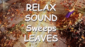 Sweeping leaves sound//Cleaning Leaves Sound Effects//Relax 30min