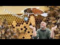 The easiest way to make new queens and expand your apiary