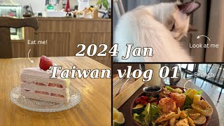 Taiwan vlog 01: CELESTETERRY New Collection of blushes, Xiao Long Bao, food in Kaohsiung | 2024 Jan