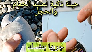 صيد الحجل والحمام باستخدام خيط السنارة صالحة لجميع الطيور المتوسطة Make a bird trap