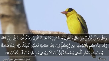 الصفحة 470 سورة غافر بصوت القارئ المهندس أحمد فايز الحراسيس