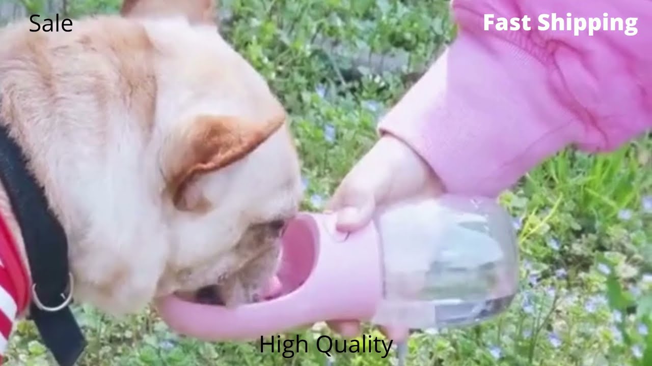 🔥 Pet Water Cup Outdoor Portable Water Bottle